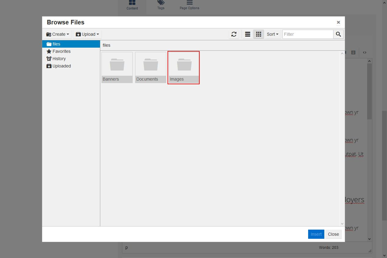 Browse through folders until you find the image to be inserted. 