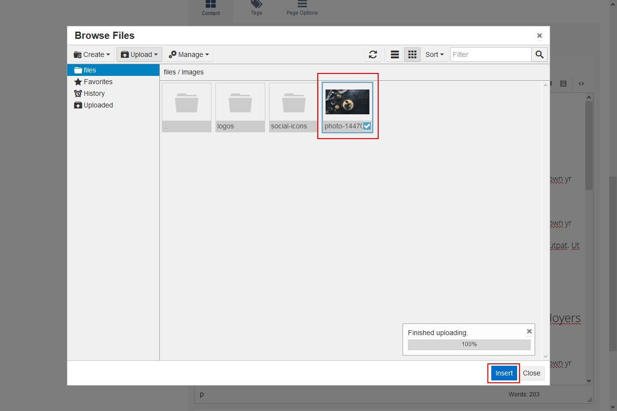 Select image and click insert.