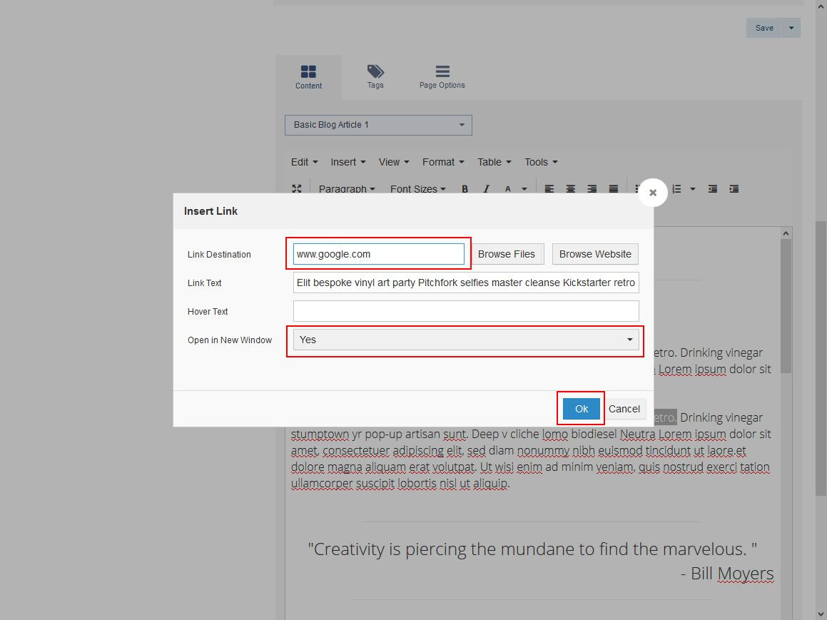 Action Steps to create a hyperlink to a different website