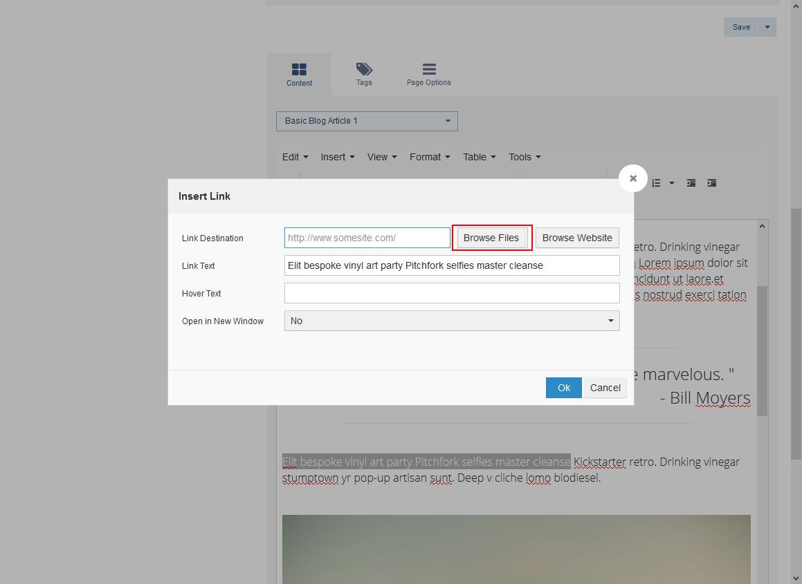 Action Steps to create a hyperlink to a document