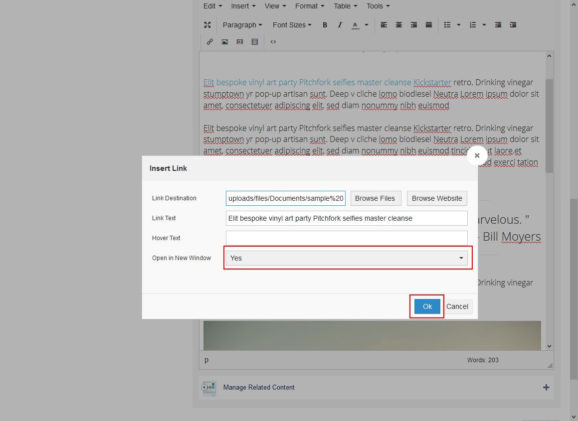 Click [Yes] in the [Open in New Window] drop down